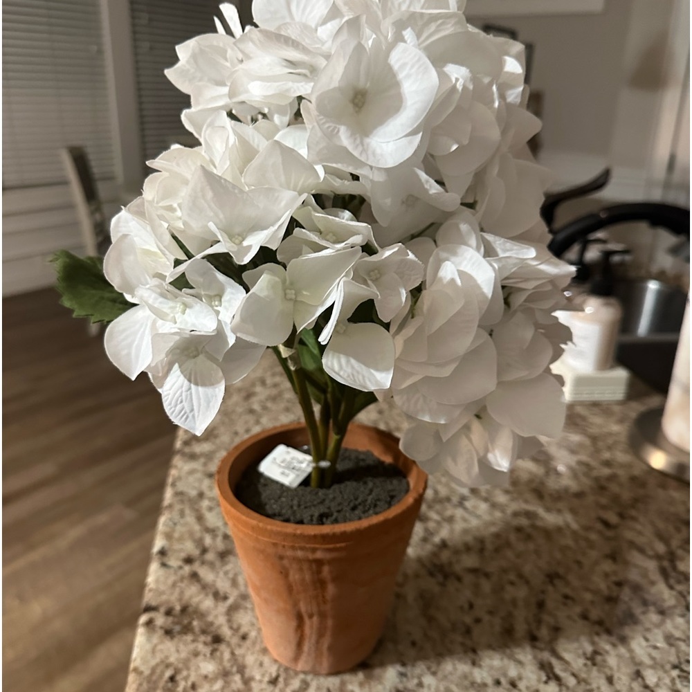 Pottery barn hydrangea medium size NWT